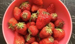 草莓果酱娱乐吃瓜君,揭秘娱乐圈那些不为人知的幕后故事