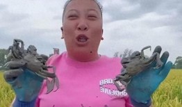 东北雨姐爆料是谁啊视频,视频背后的人物真相