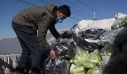 临河吃瓜最新事件爆料新闻,最新爆料揭露惊人内幕